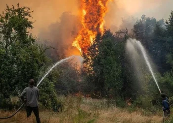 Drama en la Patagonia: el fuego ya afectó 45.000 hectáreas