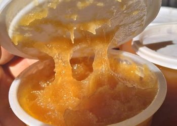 Temporada de miel sanrafaelina: excelente calidad y precios que arrancan desde $5000 el kilo