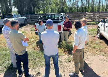Especialista de la Universidad de Minnesota junto a técnicos del INTA Rama Caída