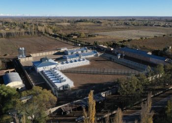 Seguridad y urbanismo en pugna: el reclamo de los vecinos contra la ampliación del sistema penitenciario en El Cerrito