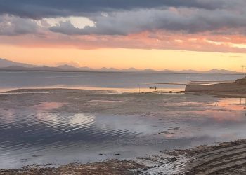 Irrigación habló de la cota de El Nihuil y descartó contaminación: una postal conocida de la crisis hídrica que se repite