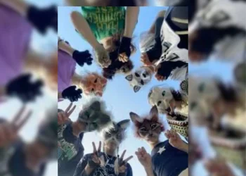 Personas que se sienten animales se juntarán en Mendoza: así será la primera juntada therian