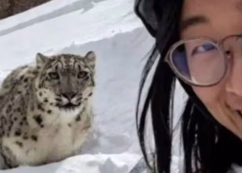 La selfie de una turista con un leopardo de las nieves segundos antes de ser atacada