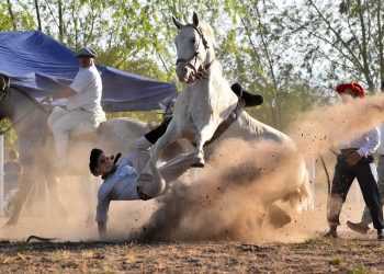 El sable corvo de San Martín: el debate histórico y político por la custodia de la reliquia que define la identidad nacional