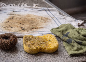 Está en la cocina y no es la bacha: el objeto de casa que más bacterias acumula y casi nadie limpia