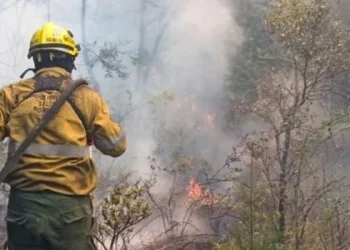 El gobierno creó el Registro Nacional de Entidades de Bomberos Voluntarios