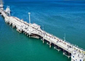 Falleció un turista estadounidense mientras viajaba a bordo de un crucero en Tierra del Fuego