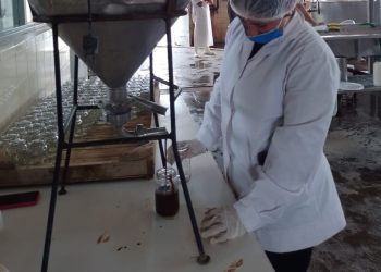 Volvió el dulce de leche con chocolate de la escuela Martín Güemes: un clásico que siempre se agota