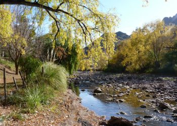 Los ríos del sur mendocino reciben un 34% menos de agua que el promedio histórico