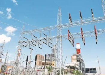 Central Térmica Papagayo en San Carlos: el gobierno convocó a audiencia pública por su impacto ambiental