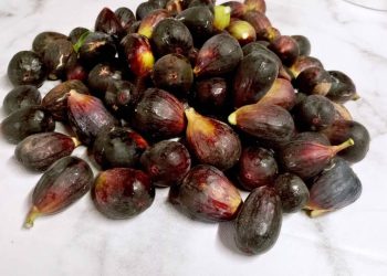 Higos: San Rafael es uno de los pocos productores de Mendoza y se consiguen frescos a buen precio