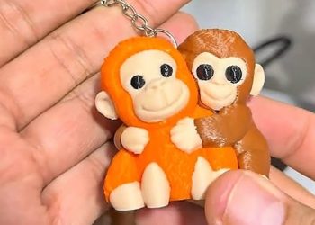 Punch, el monito viral japonés ya tiene sus admiradores en San Rafael