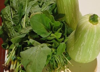 La huerta comunitaria de Pueblo Diamante celebró su primera cosecha