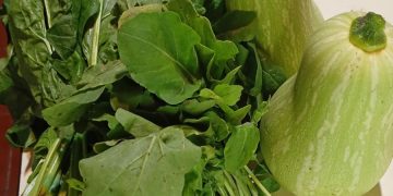 La huerta comunitaria de Pueblo Diamante celebró su primera cosecha