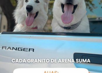 Modificación de la Ley de Glaciares: en contramano al resto del mundo, sin consulta a científicos y a pedido de mineras