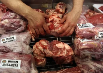 La carne aumentó 70% en el último año y empujó a los mendocinos a elegir cerdo y pollo