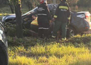 Un joven murió tras chocar contra un árbol en la Ruta 143