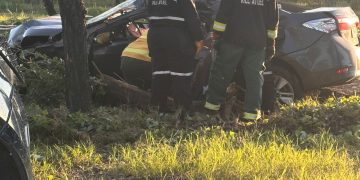 Un joven murió tras chocar contra un árbol en la Ruta 143