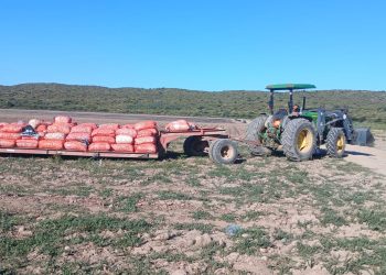 Tragedia en una finca de Las Malvinas: un trabajador murió tras ser arrollado por un tractor