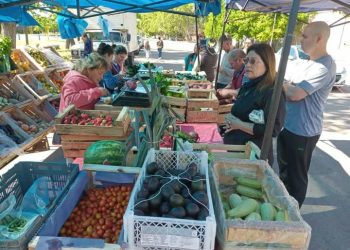 Renault Mediterráneo realizará un súper fin de semana de test drive con promociones y financiación especial en el Mes de la Mujer