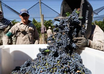 Cecilia Fornara y la emoción de volver al anfiteatro y celebrar el triunfo sanrafaelino en la Vendimia