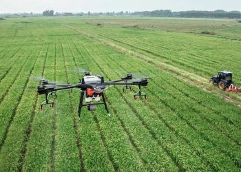 Mendoza fue reconocida como la primera Región Angels del país por su sistema de atención de ACV