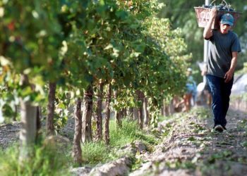 Comenzó el juicio por el hundimiento del ARA San Juan y familiares insisten en responsabilidades políticas y militares