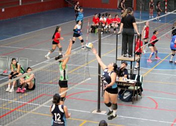 Renault Mediterráneo realizará un súper fin de semana de test drive con promociones y financiación especial en el Mes de la Mujer