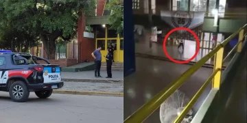 Habló la abogada del chico que mató a un compañero de escuela en Santa Fe: «Sentía que no encajaba y había tenido episodios de autolesiones»