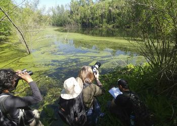 Conectividad y crecimiento: San Rafael busca consolidar sus vuelos para potenciar la actividad económica