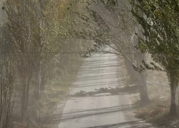 Viento Zonda y ráfagas del Sur de hasta 45 km/h: desde qué hora y dónde