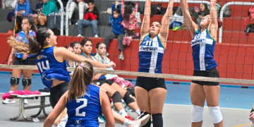 El vóley sureño comenzará el 28 y 29 de marzo
