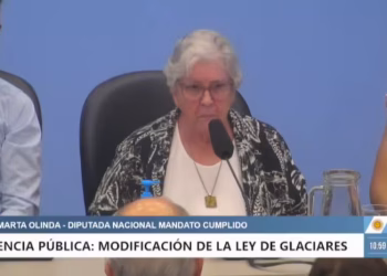 VIDEO: la fuerte denuncia de la autora de la vigente Ley de Glaciares durante la audiencia pública para tratar su modificación