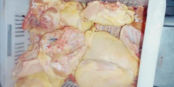 Operativos contra el abigeato: más de 200 kilos de productos cárnicos decomisados en Malargüe