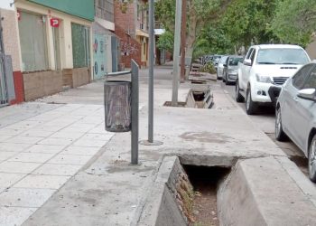 Preocupación en el Consejo Regional de Defensa del Arbolado Público en San Rafael por cambios en la Ley 7874