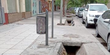 Preocupación en el Consejo Regional de Defensa del Arbolado Público en San Rafael por cambios en la Ley 7874