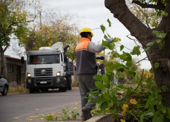 Ley de Arbolado: entre una mayor autonomía para los intendentes y el temor por el “traspaso” de gastos
