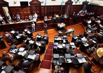 Sello de calidad legislativa: el plan para profesionalizar la política y optimizar el uso de los recursos