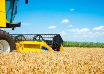 Campo: sin retenciones, Argentina podría producir 251 millones de toneladas de granos en 10 años