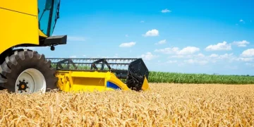 Campo: sin retenciones, Argentina podría producir 251 millones de toneladas de granos en 10 años