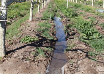 Nuevos beneficios fiscales para regantes: disminuye el IVA en energía eléctrica