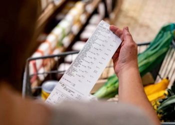 De la austeridad a la pluriactividad: el nuevo mapa del consumo y el empleo en las familias mendocinas