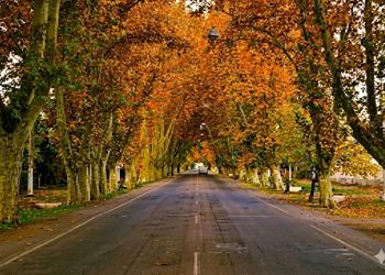 Arrancó el otoño: Cómo estará el tiempo este fin de semana largo en Mendoza