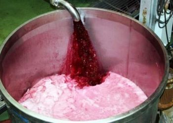 Vino a granel en el mundo: el desafío de competir con desventajas logísticas y arancelarias