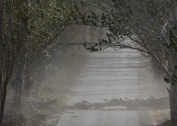 Lunes 2 de marzo: se suspenden las clases presenciales en Malargüe