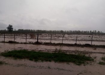 Colonia Española: inundación, pérdidas millonarias, reclamo por falta de obras y un caso que termina en la Suprema Corte