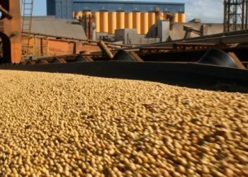 El agro liquidó más de US$ 2.000 millones en marzo
