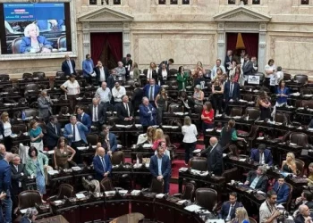 El gobierno enviará al Congreso una nueva Ley de Salud Mental