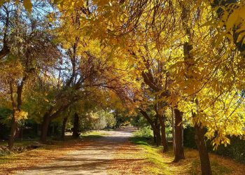 El Parque San Martín, Potrerillos y la Villa 25 de Mayo los lugares emblemáticos de Mendoza en otoño