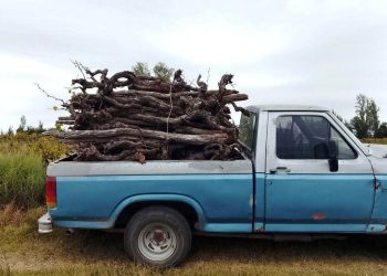 Se viene el frío y la leña llega con aumentos de hasta el 30% en San Rafael